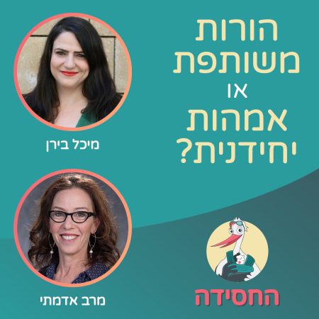 מפגשי זום_יחידנית (1)